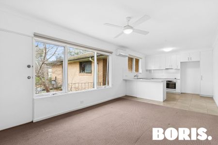 3/2 Olympus Way, Lyons ACT 2606 - Apartment For Rent | Domain - Photo 2