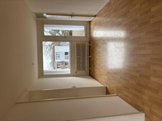 Wohnen auf großer Fläche - Photo 1