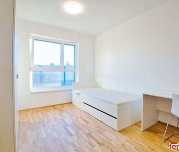 furnished apartments for short-term rental (2-12 months) / möbliert... - Photo 6