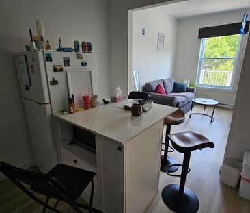 3 1/2 lumineux et meublé à louer Rosemont Petite- Patrie / Petite I... - Photo 2