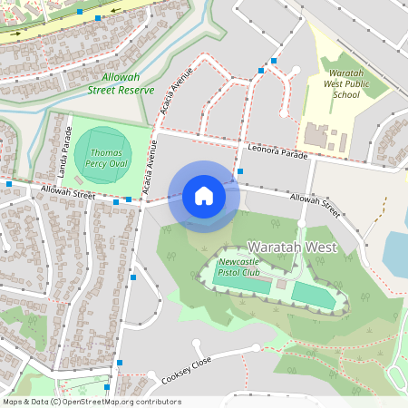 61 Allowah Street, Waratah West 2298, New South Wales