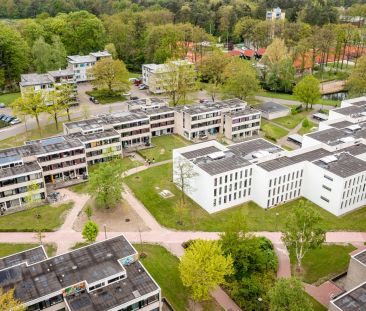 Chambre d'étudiant Calslaan 14-b, Enschede - Campus de l'Université... - Foto 6
