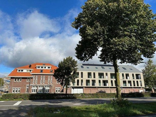 Te huur: Appartement Broekhovenseweg in Tilburg - Photo 1