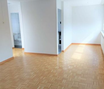 #verliebtinschaffhausen - wundervolle Wohnung mit neuer Küche, neue... - Photo 3