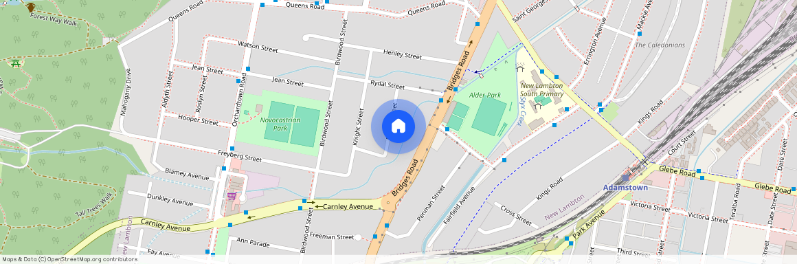 15 Rudge Street, 2305, New Lambton Nsw