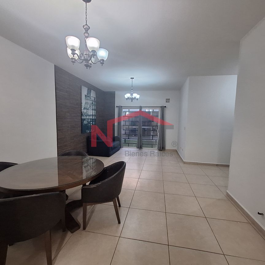 CASA DE 1 PISO EN RENTA FRACC. TERRALTA - Photo 1