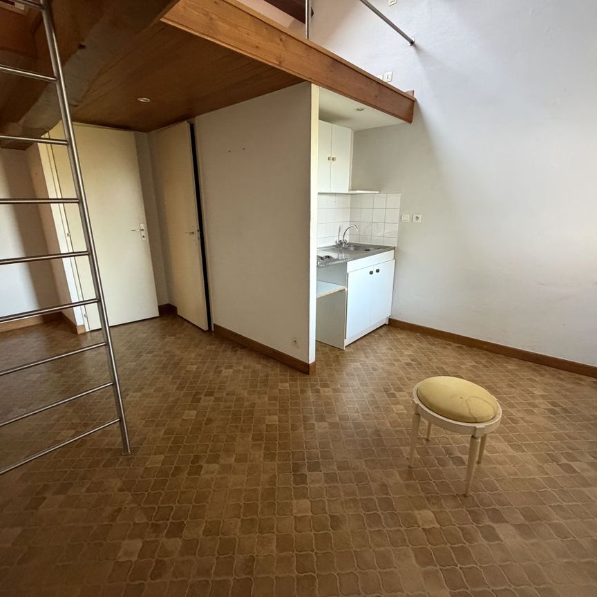 Location Appartement 1 pièce 20m² VONNAS 01540 - Photo 1