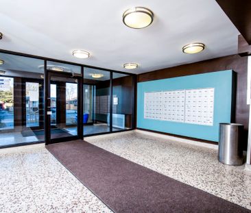 Stevenvale Drive Apartments - Photo 4