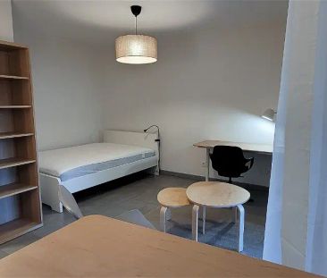 Location appartement 1 pièce - 28m² à Lyon 7e arrondissement (69007) - Photo 1