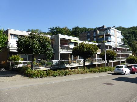 1 Zimmer, 41 m², EG - Foto 4