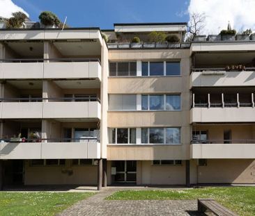 2.5 Zimmer, 39 m², 2. Stock - Foto 6