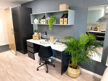 Luxury Studio - Photo 4
