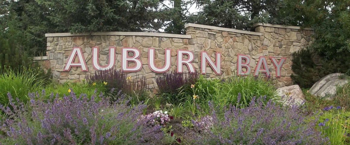 Beautiful Auburn Bay Half Duplex — 3 Bedrooms Duplex - Photo 1