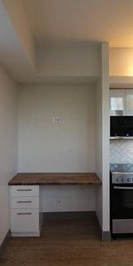 Newly Renovated Studio Apartment - Photo 4