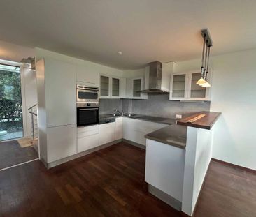 Villa individuelle contemporaine à Veyrier - Foto 4