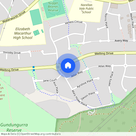 81 Welling Drive, Narellan Vale NSW 2567