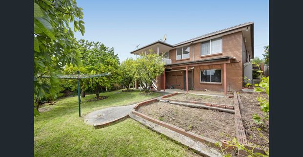 Spacious Family Living with Stunning Elevated Views - Photo 1