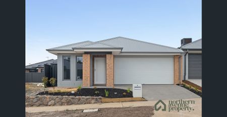 Brand New 4 Bedroom Home with Study - Photo 4