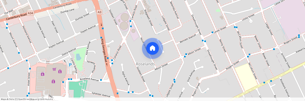 38 Nicoll Street, Roselands NSW 2196