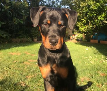 Glen Waverley - Photo 5