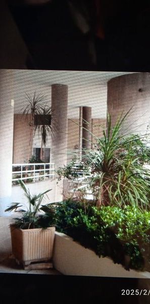 T2 - Photo 1