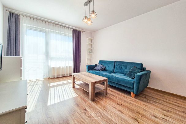 Rędzińska/Lux/Garaż/Balkon/Winda - Photo 1