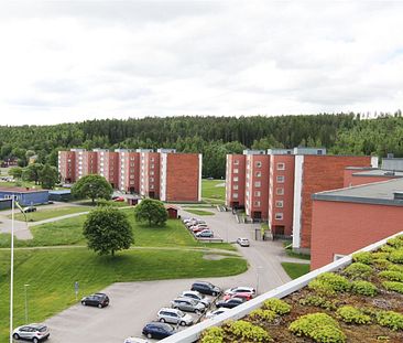 Midälva, Sundsvall, Västernorrland - Photo 3