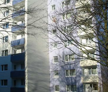 3-Zimmer-Wohnung in Iserlohn Hombruch: Neues Bad inklusive - Photo 1