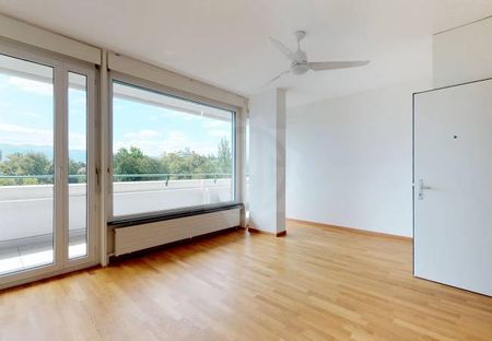 Bel Appartement - Genève - Foto 5