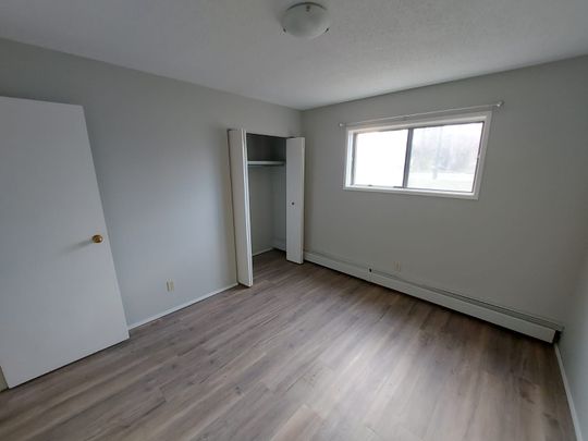 Fully Renovated Pet Friendly Unit!!! - Photo 1