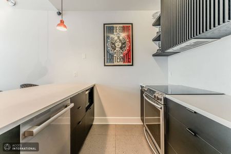 MR072 - Apartment Rosemont/Petite-Patrie, Montreal - Photo 2