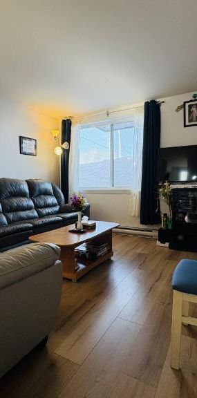 Appartement 4 ½ à louer Lévis juillet 2026 - Photo 1