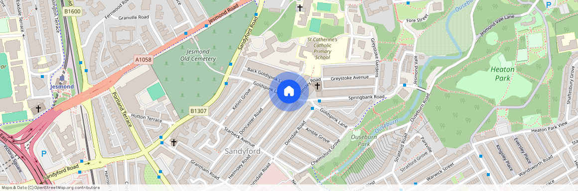 Goldspink Lane, Newcastle Upon Tyne