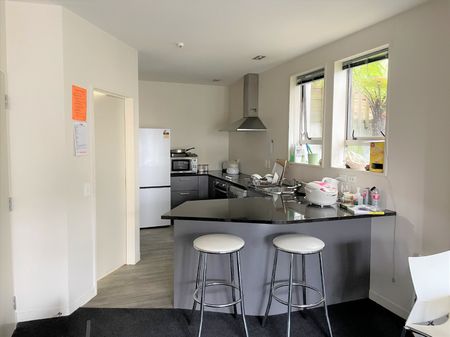 Unit 6B, 73 Buccleugh Street, North East Valley, Dunedin - Photo 5