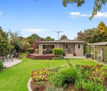 Spacious on Shelley - Photo 5