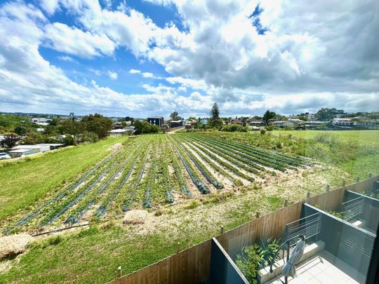 21 Ara Mara Hua, Henderson, Auckland - Photo 1