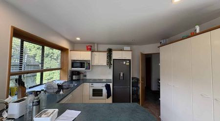 42D Hamilton Avenue, Ilam - Photo 4