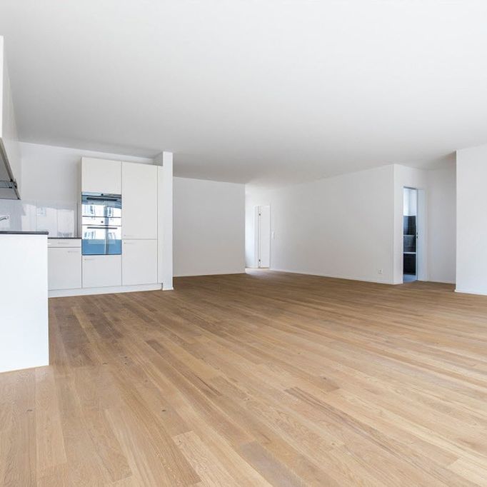 Helle 4.5-Zimmerwohnung an ruhiger Lage - Photo 1