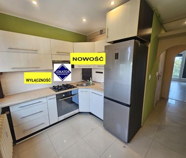 Nałkowskiej 43m2 2pokoje balkon (Ruda Śląska, Ruda)Ruda Śląska, Rud... - Zdjęcie 4