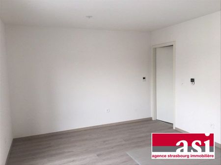 Studio à louer, 1 pièce - Strasbourg 67200 - Photo 2