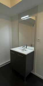 Location Appartement 1 pièce 22m² TOURS 37100 - Photo 3