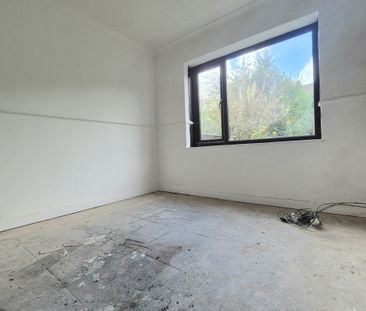 Cousin Lane - Photo 3