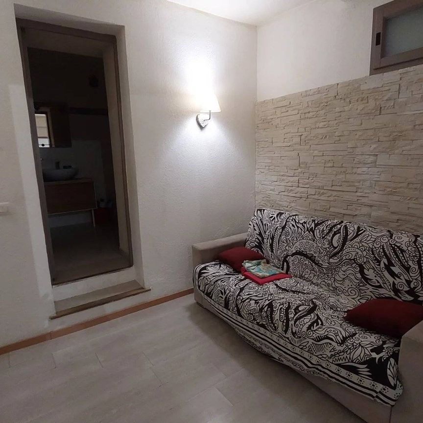 Meublé : Dans le var, deux pièces de 32m² - Photo 1