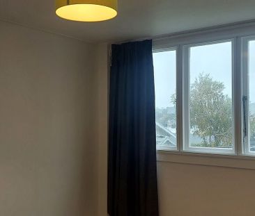 1 Bedroom Apartment on Carlton Gore Rd, Newmarket - Photo 1