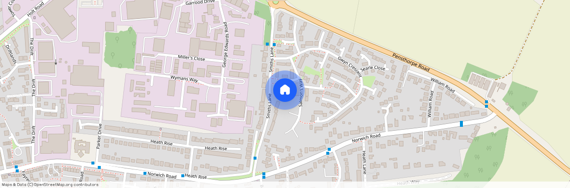 Salmons Way, Fakenham NR21