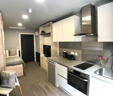 Premium Accessible Studio - Photo 6