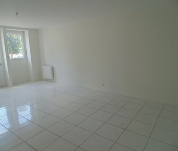 Location Appartement 3 pièces 50m² ST PAUL DE VARAX 01240 - Photo 2