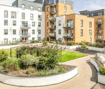 1 Bed Flat, Peregrine House, RG2 - Photo 4