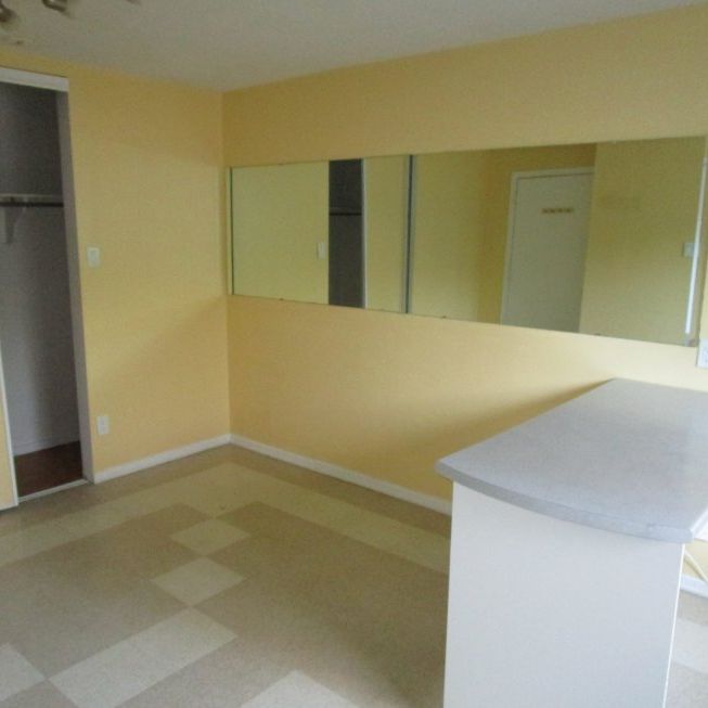 Cité des Jeunes (2 1/2) - Photo 1