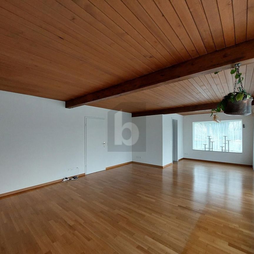 WELLNESS HOUSE FOR FAMILIES IN A QUIET LOCATION - Foto 1